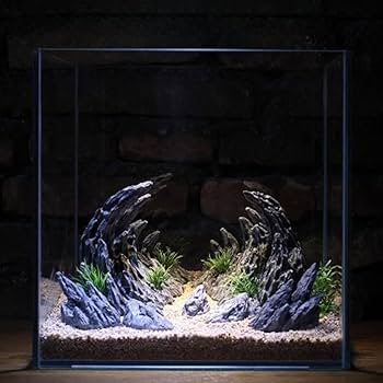 Amazon | 2個 アクアリウム オブジェ 岩 山 隠れ家 隠れ洞窟